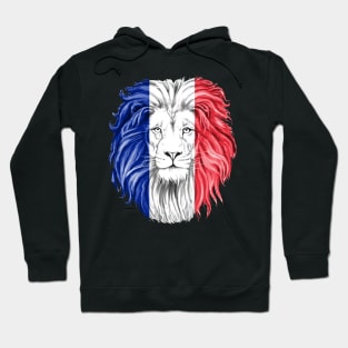 france Hoodie